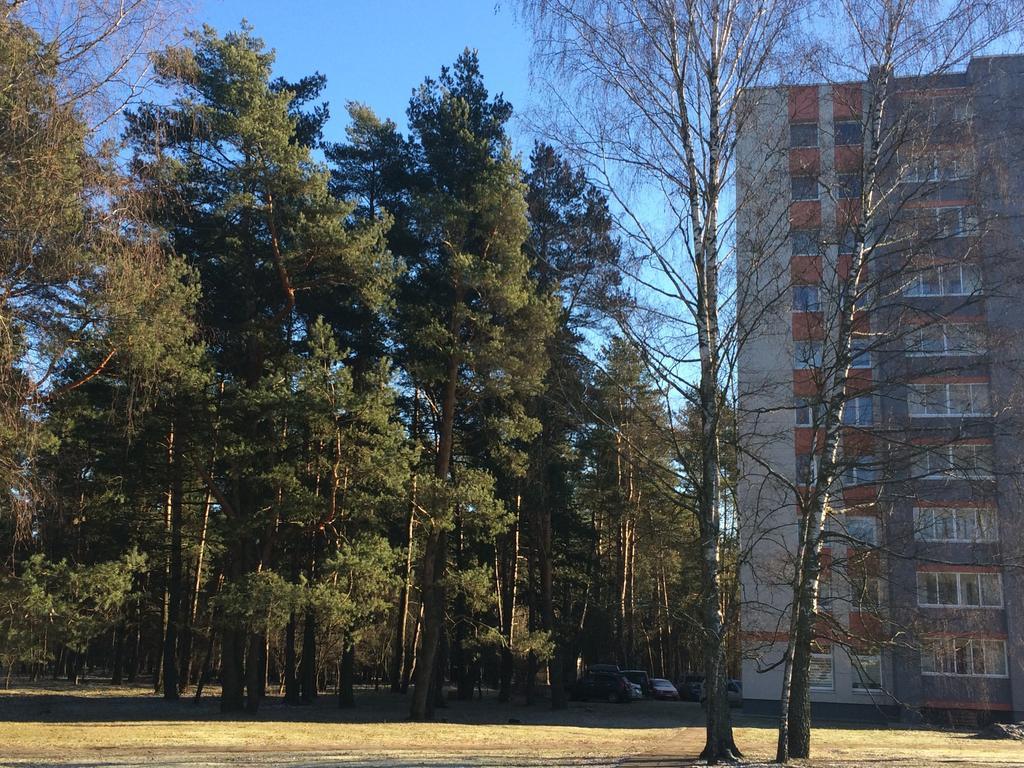 Angel Apartment Druskininkai Ngoại thất bức ảnh